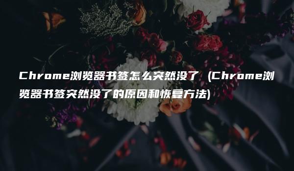 Chrome浏览器书签怎么突然没了 (Chrome浏览器书签突然没了的原因和恢复方法)