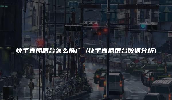 快手直播后台怎么推广 (快手直播后台数据分析)