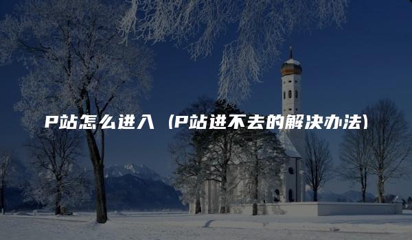 P站怎么进入 (P站进不去的解决办法)