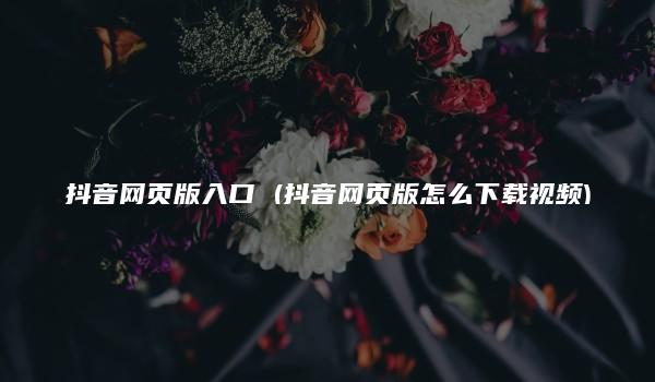 抖音网页版入口 (抖音网页版怎么下载视频)