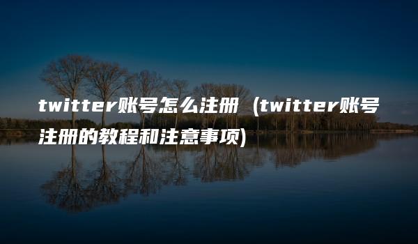 twitter账号怎么注册 (twitter账号注册的教程和注意事项)