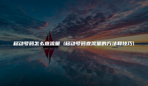 移动号码怎么查流量 (移动号码查流量的方法和技巧)