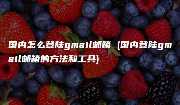 国内怎么登陆gmail邮箱 (国内登陆gmail邮箱的方法和工具)