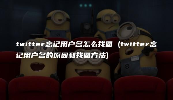 twitter忘记用户名怎么找回 (twitter忘记用户名的原因和找回方法)