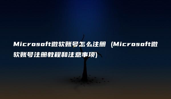 Microsoft微软账号怎么注册 (Microsoft微软账号注册教程和注意事项)