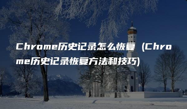 Chrome历史记录怎么恢复 (Chrome历史记录恢复方法和技巧)