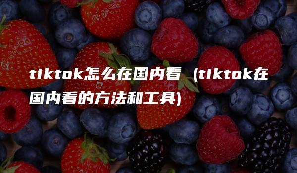 tiktok怎么在国内看 (tiktok在国内看的方法和工具)