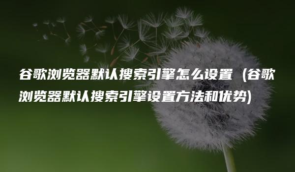 谷歌浏览器默认搜索引擎怎么设置 (谷歌浏览器默认搜索引擎设置方法和优势)