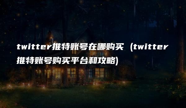 twitter推特账号在哪购买 (twitter推特账号购买平台和攻略)