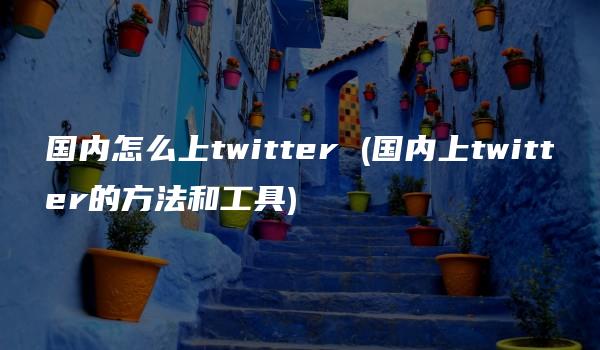 国内怎么上twitter (国内上twitter的方法和工具)