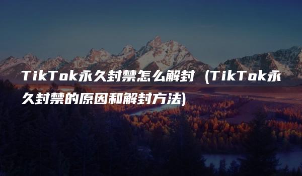 TikTok永久封禁怎么解封 (TikTok永久封禁的原因和解封方法)