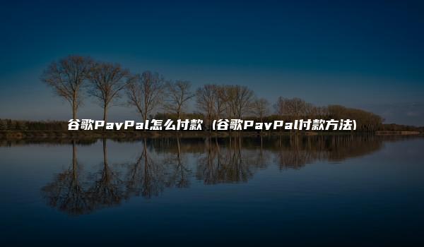 谷歌PayPal怎么付款 (谷歌PayPal付款方法)