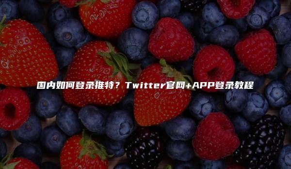 国内如何登录推特？Twitter官网+APP登录教程