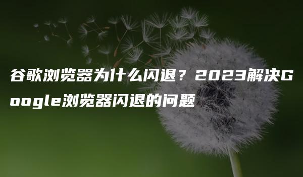 谷歌浏览器为什么闪退？2023解决Google浏览器闪退的问题